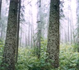 Tst02.jpg