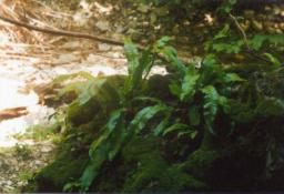 S06.jpg