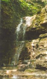 S11.jpg