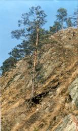 M05.jpg
