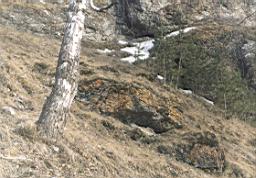 N03.jpg